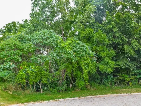 Saint Elmo Ave NE, Canton, OH 44714