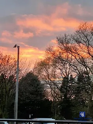 Sold by Coldwell Banker Reliable Real Estate | media 9