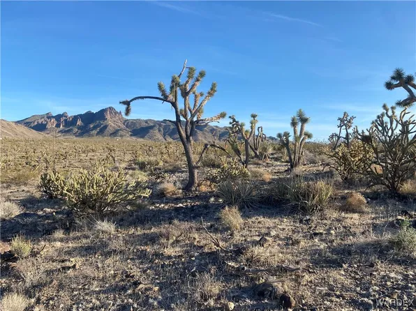 328-03-449 N North Dr, Dolan Springs, AZ 86441