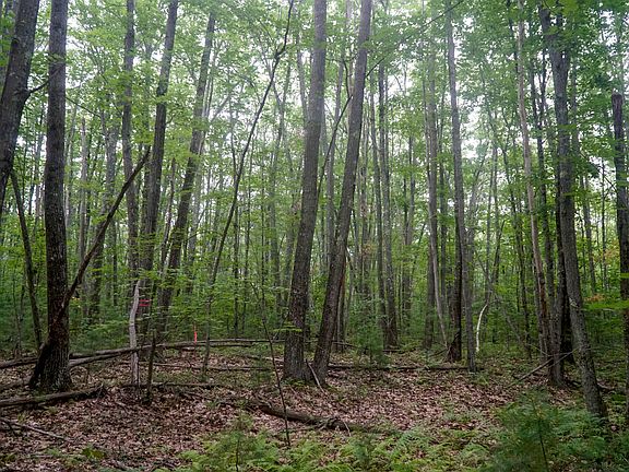 5th image of TBD Moose Rocks Road