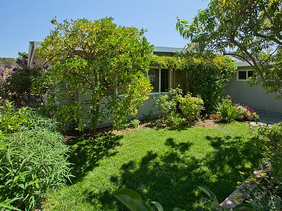 Variety of Trees too