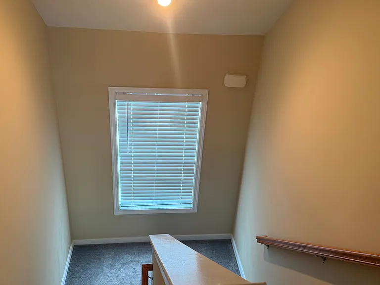 10266 Ibis Dr — Photo 12