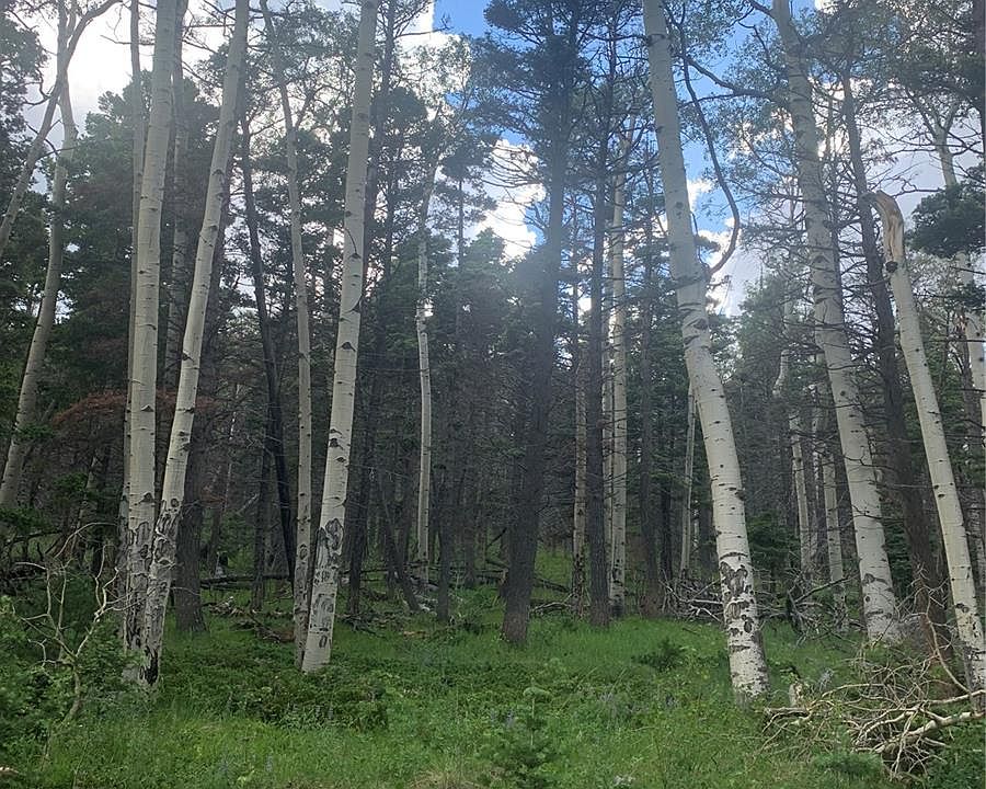 2nd image of 2952 LARRY Place LOT 2952