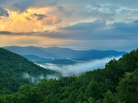 2nd image of 161 Cub Trl