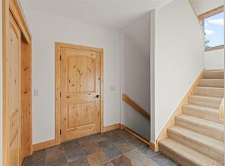 294 Mine Dump Rd, Alma, CO 80420