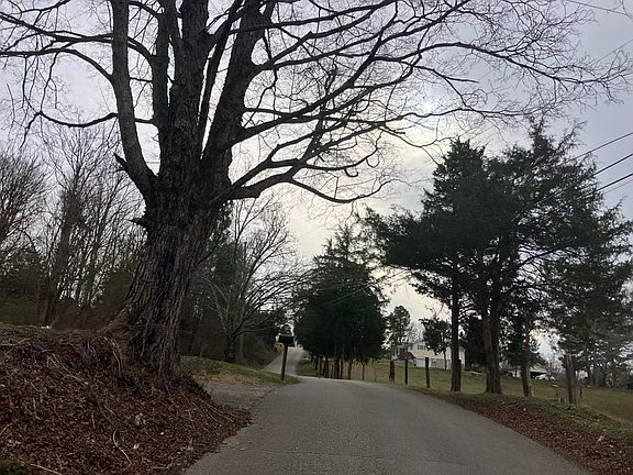 5th image of 8328 Lucas Ln