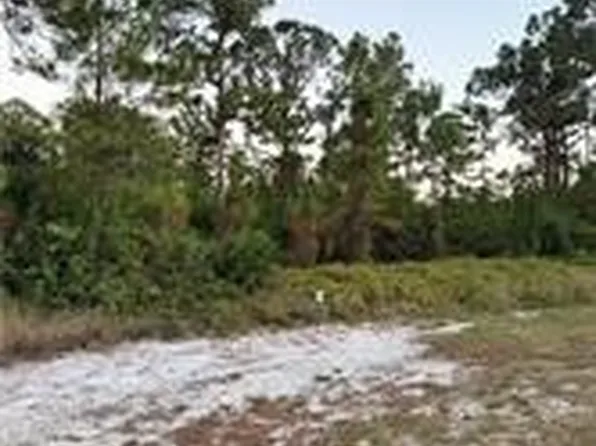 2002 Fitch Ave, Alva, FL 33920