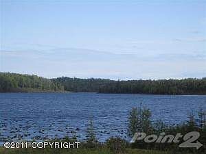 IMG_0378 (Medium)