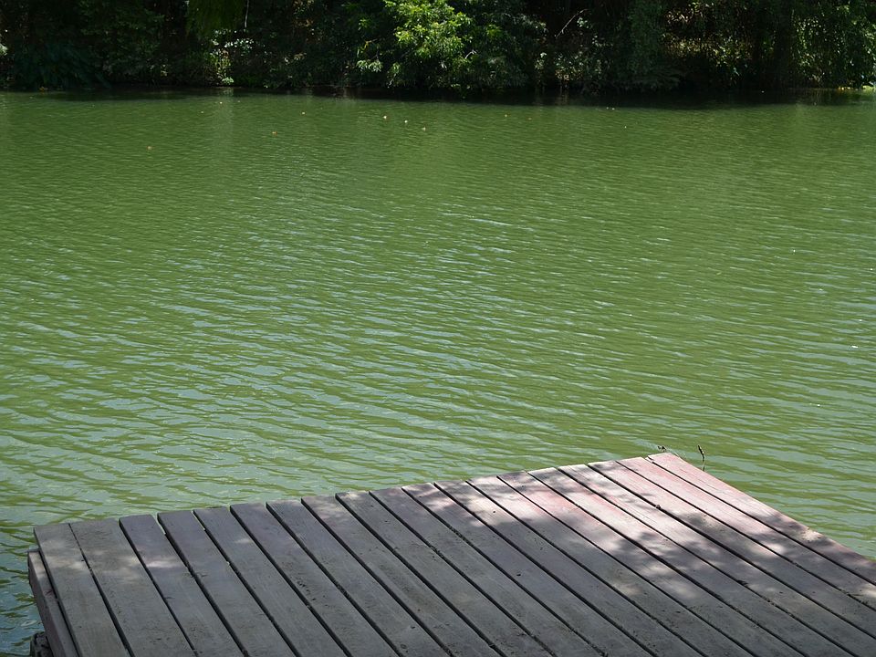 waterfront