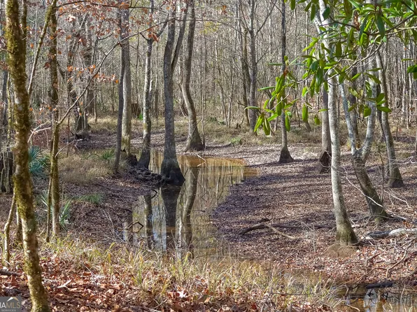 0 Limestone Rd, Cochran, GA 31014