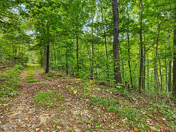 5th image of 25 Timber Ridge Ln