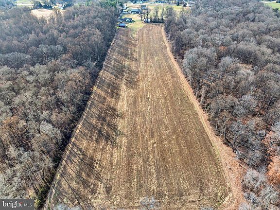 4th image of Joseph Biggs Memorial Hwy Lot 6