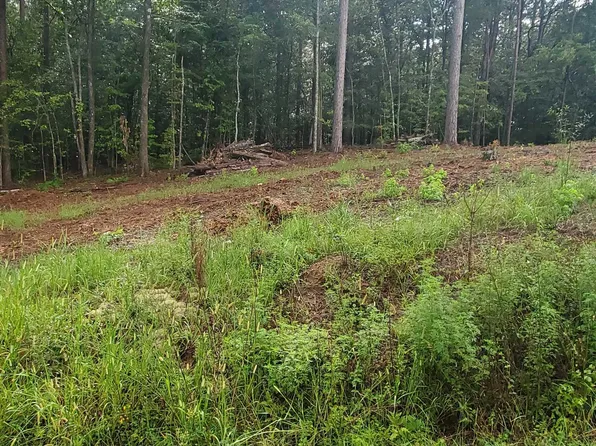 0 Broken Arrow Creek Rd #825, Riverside, AL 35135