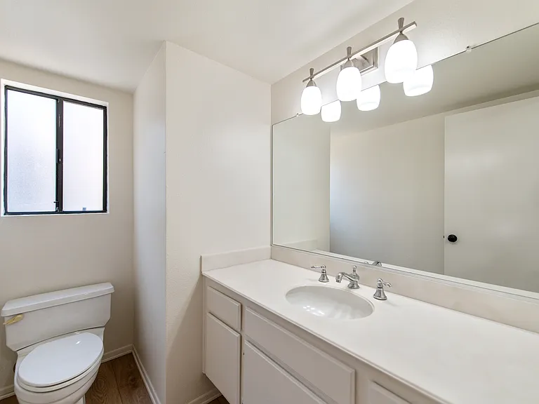 24 Silkberry — Photo 11