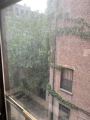 Rented by Charles Coutinho LLC | media 29