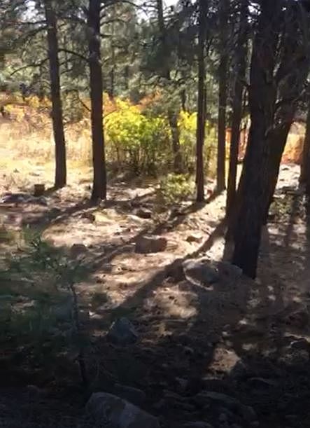 1st image of 48 Masters Circle