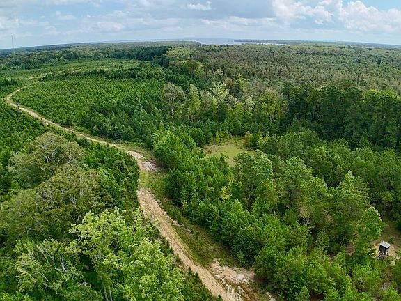 Dji Fly 20260805 112524 0074 1786025506321 Photo