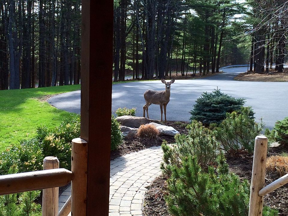 1st image of 70 Pine Meadow Ln