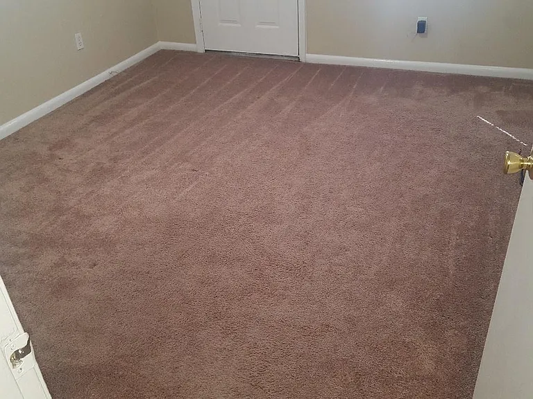 1131 Burdette St — Photo 4