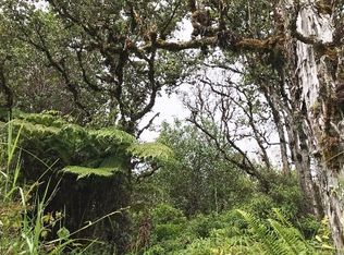 Road 6 Ooaa LOT 4178, Mountain View, HI 96771