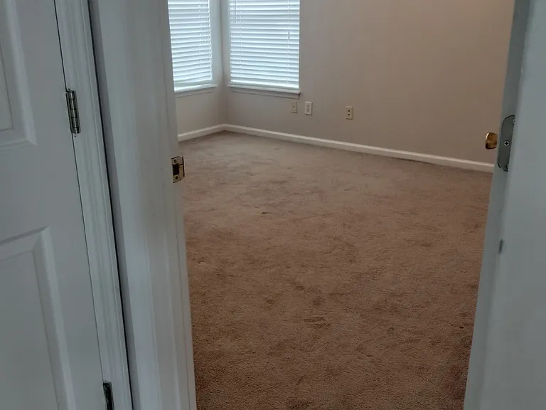 1248 Wild Olive Dr — Photo 15