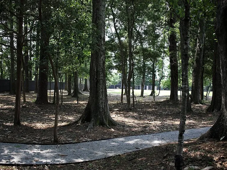 Parkside at Cottage Hill — Photo 11