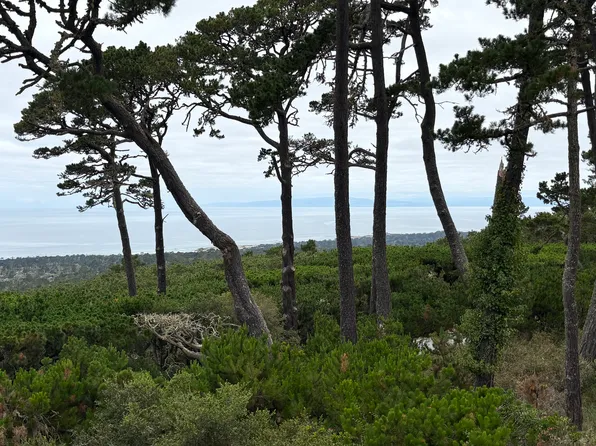 14 Ocean Pines Ln, Pebble Beach, CA