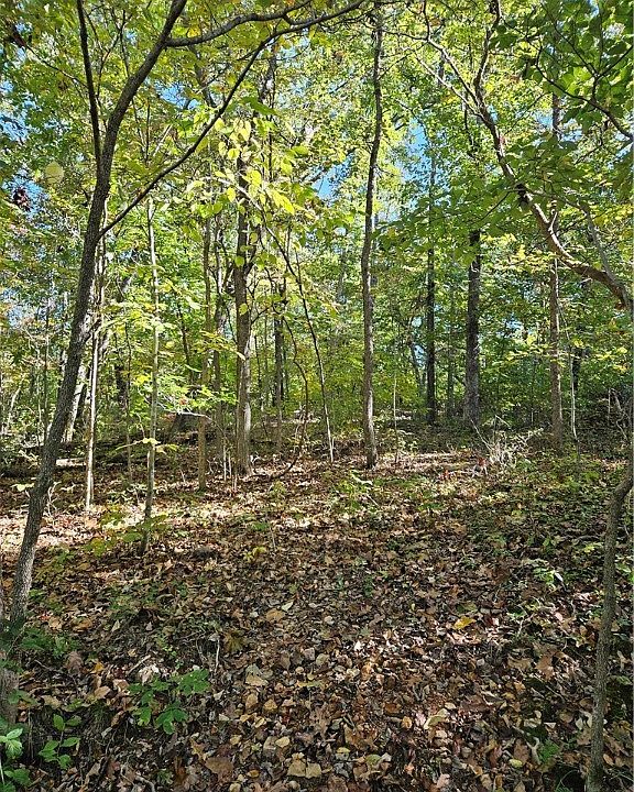 1st image of Malone Dr Lot 4