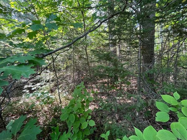 Nhn Renwick Cir, Presque Isle, MI 49777
