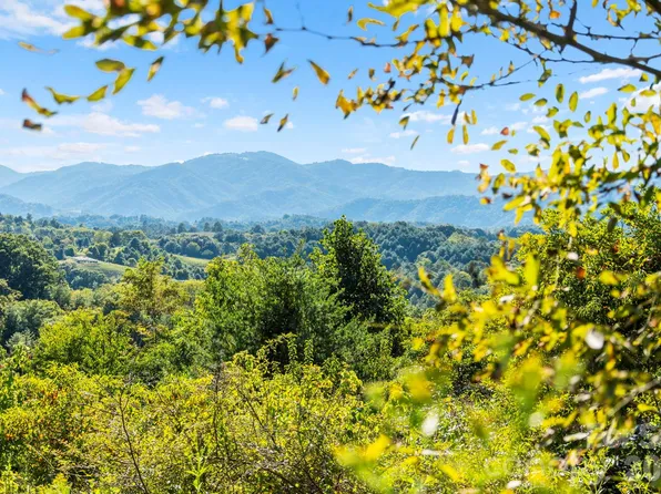 1231 Baileys Branch Rd #3, Marshall, NC 28753