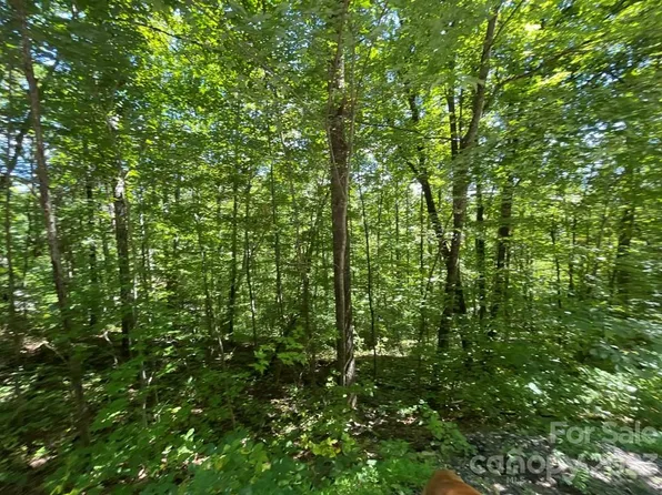 14 Shady Vale Rd #14, Bryson City, NC 28713