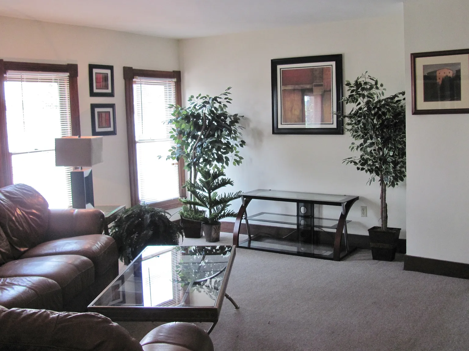 207 Williams Street - 2 — Photo 4