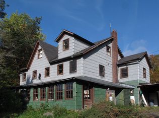 451 Elk Creek Rd, Halcott Center, NY 12430