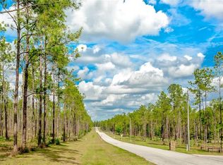 LOT 59 Pony Pond Rd, Dade City, FL 33523