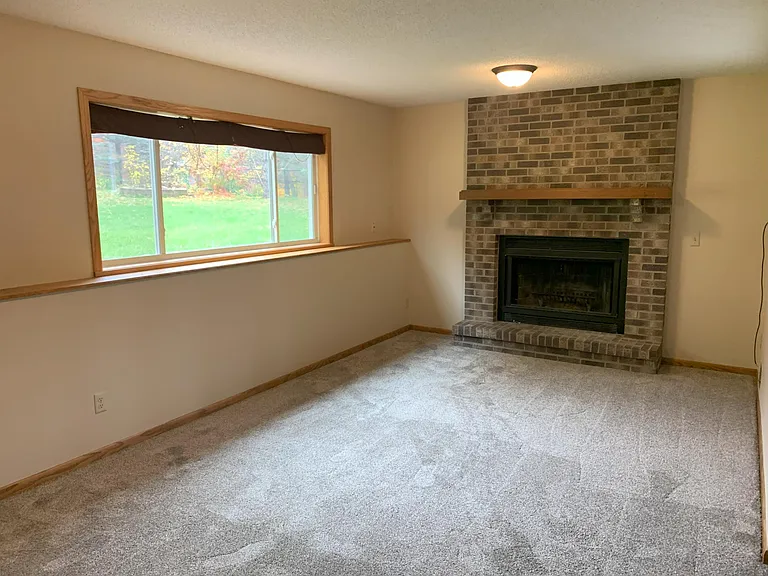 Lower level family room with fireplace.