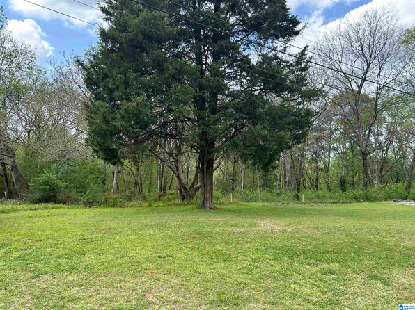 3185 Crest Oval Mountain Rd #18ACRES, Bessemer, AL 35023