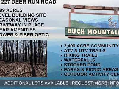 Deer Run Rd #227, Purlear, NC, 28665