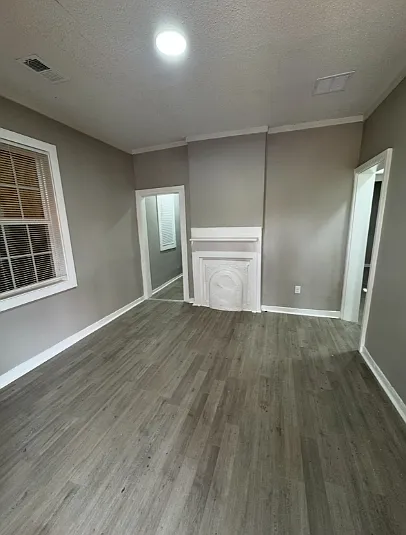 1006 Emmie St — Photo 6