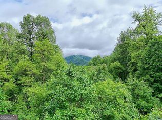 L2 Georgianna Ln, Bryson City, NC 28713