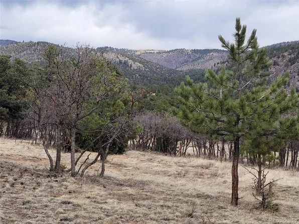 L37 Bird Point Drive, Cotopaxi, CO 81240