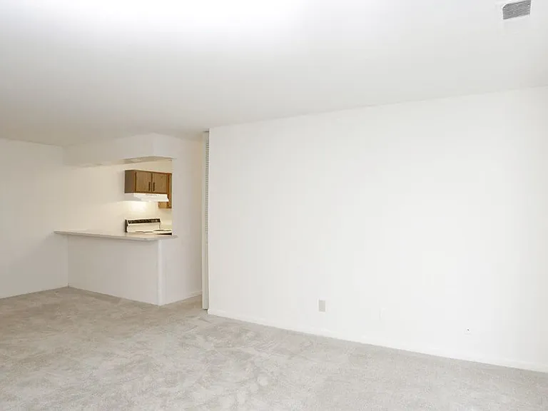 Kitchen and Living Room