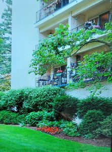 407 Franklin Ave APT 5F, River Forest, IL, 60305