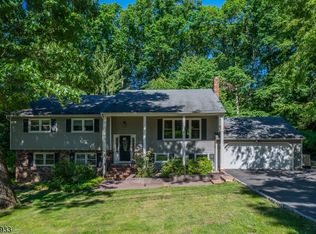 11 Southview Rd, Randolph Twp., NJ 07869