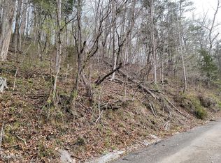 Powder Mill Ln, Lafollette, TN 37766