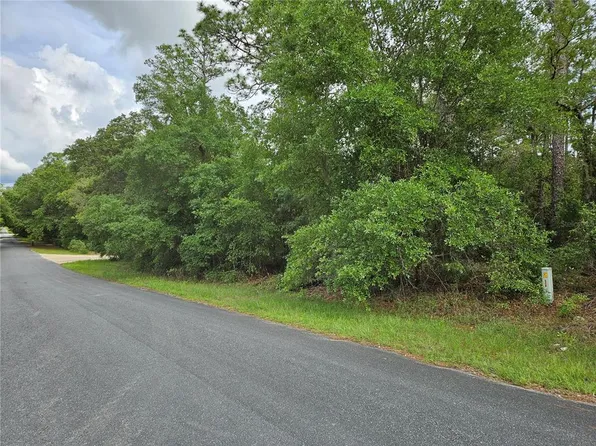 SE 28th St Lot 1, Morriston, FL 32668