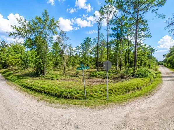 Millrock St Lot 18, Webster, FL 33597