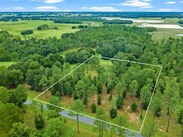 Falabella Ct, Groveland, FL 34736
