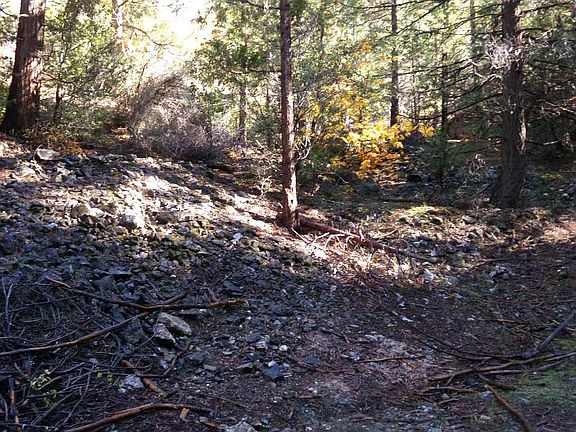4th image of Tcz McAdams Ck Rd