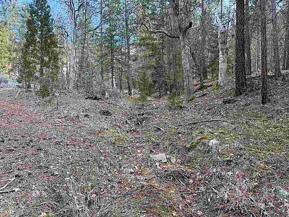 3rd image of 0 Moffett Creek Rd