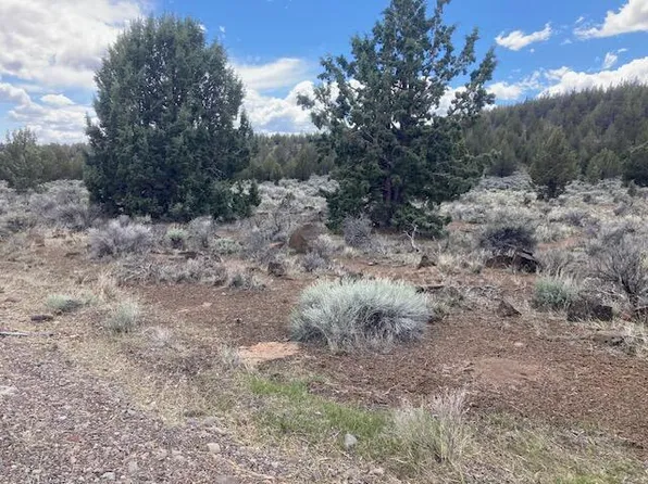 LOT 100 Highway 31, Silver Lake, OR 97638